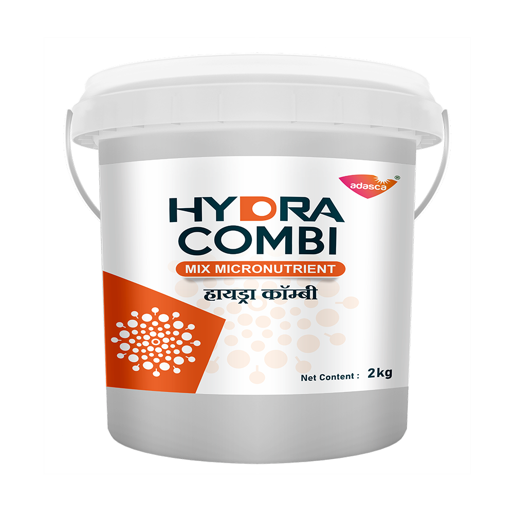 HYDRA COMBI