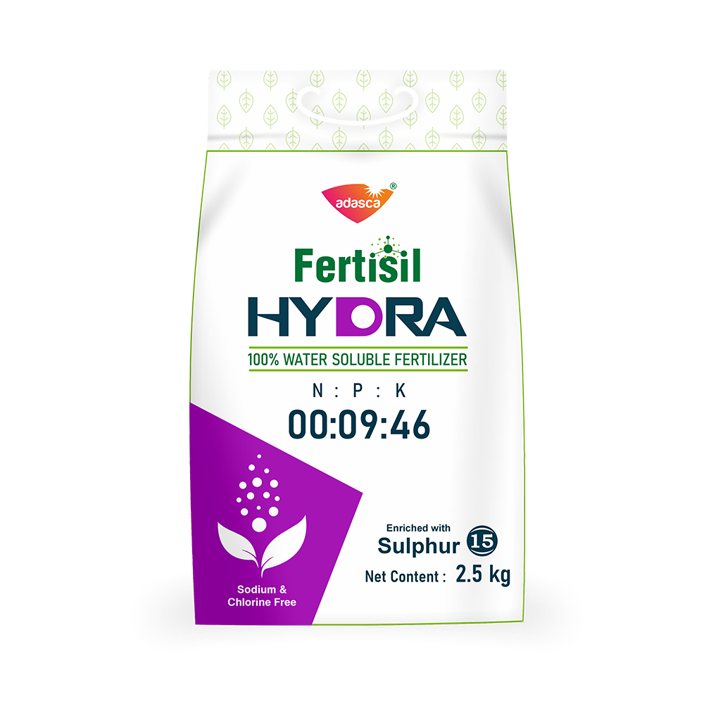 Fertisil HYDRA NPK 00-09-46