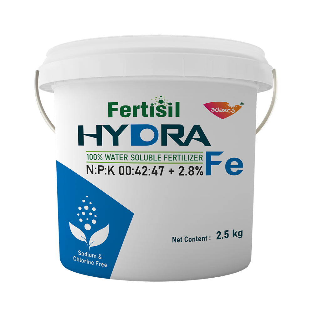 Fertisil HYDra NPK 00-42-47