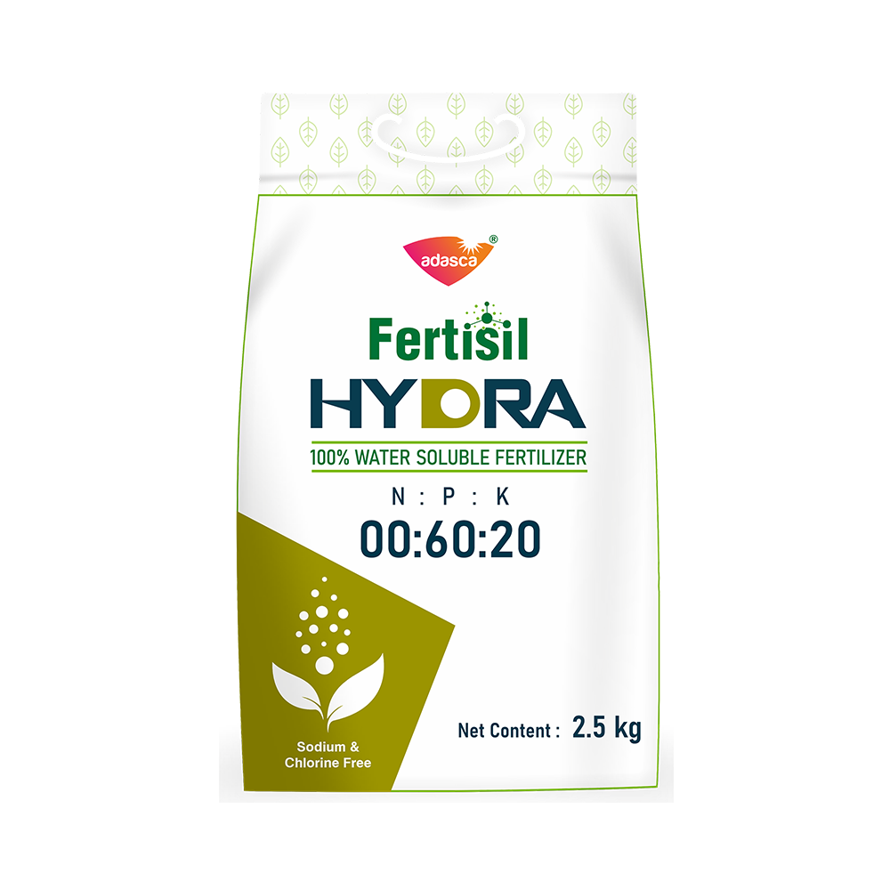 Fertisil HYDRA NPK 00-60-20