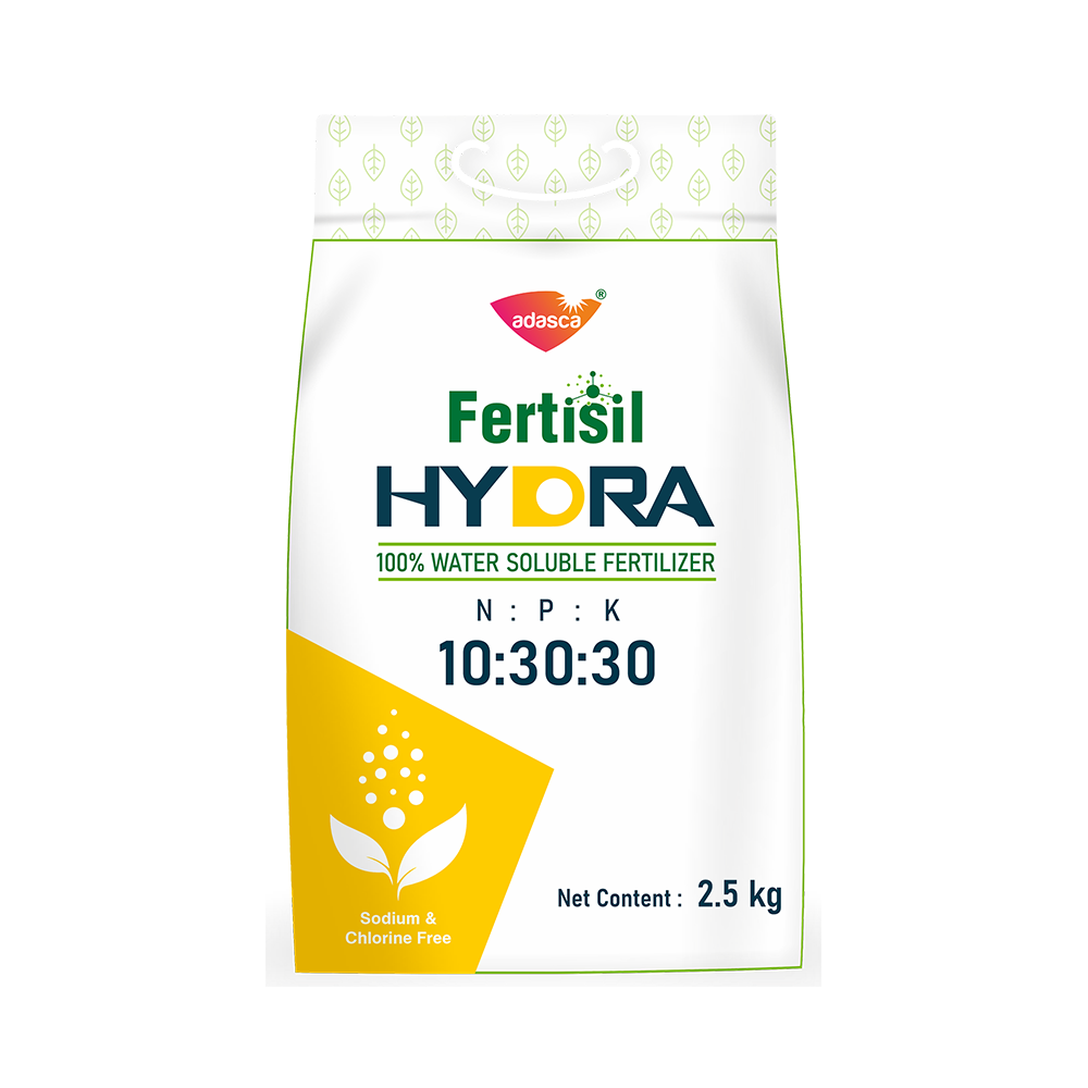 Fertisil HYDRA NPK 10-30-30