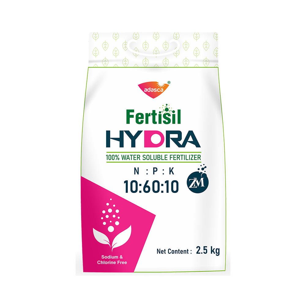 Fertisil HYDRA NPK 10-60-10