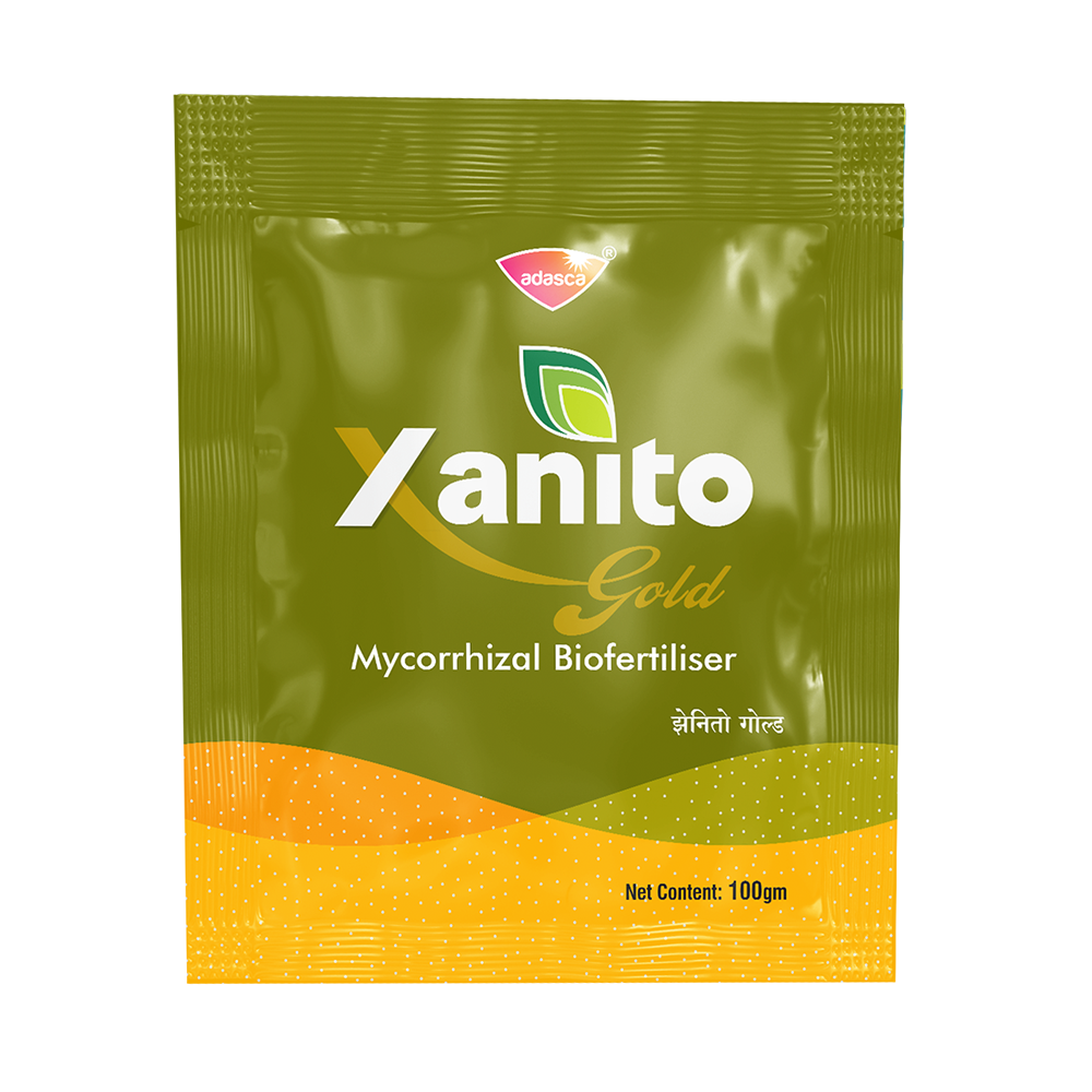 XANITO GOLD