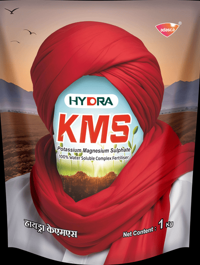 HYDRA KMS